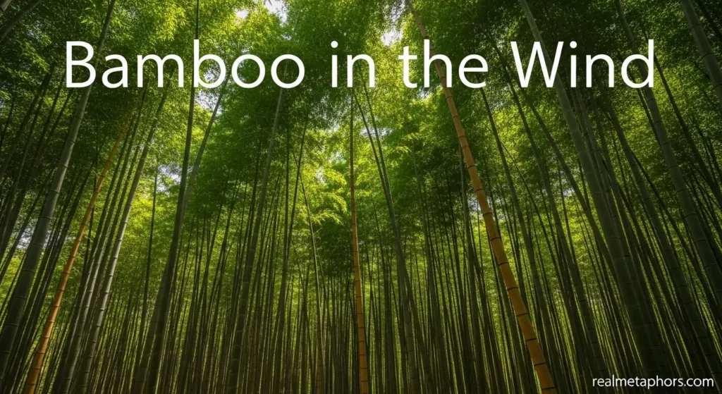 Bamboo in the Wind
