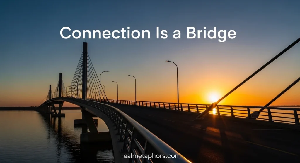 Connection Is a Bridge