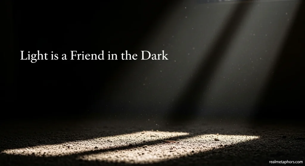 Light is a Friend in the Dark