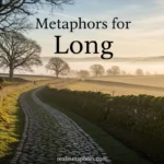 Metaphors for Long
