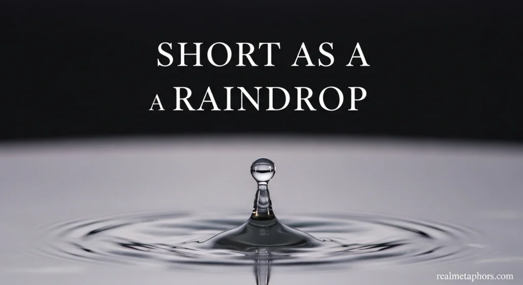 Short as a Raindrop