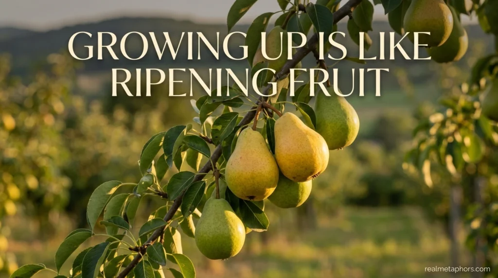 Growing Up Is Like Ripening Fruit